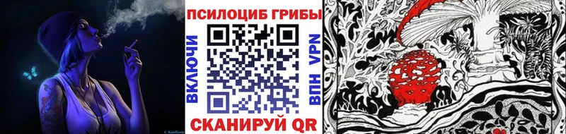ссылка на мегу ONION  Кисловодск  Галлюциногенные грибы ЛСД 